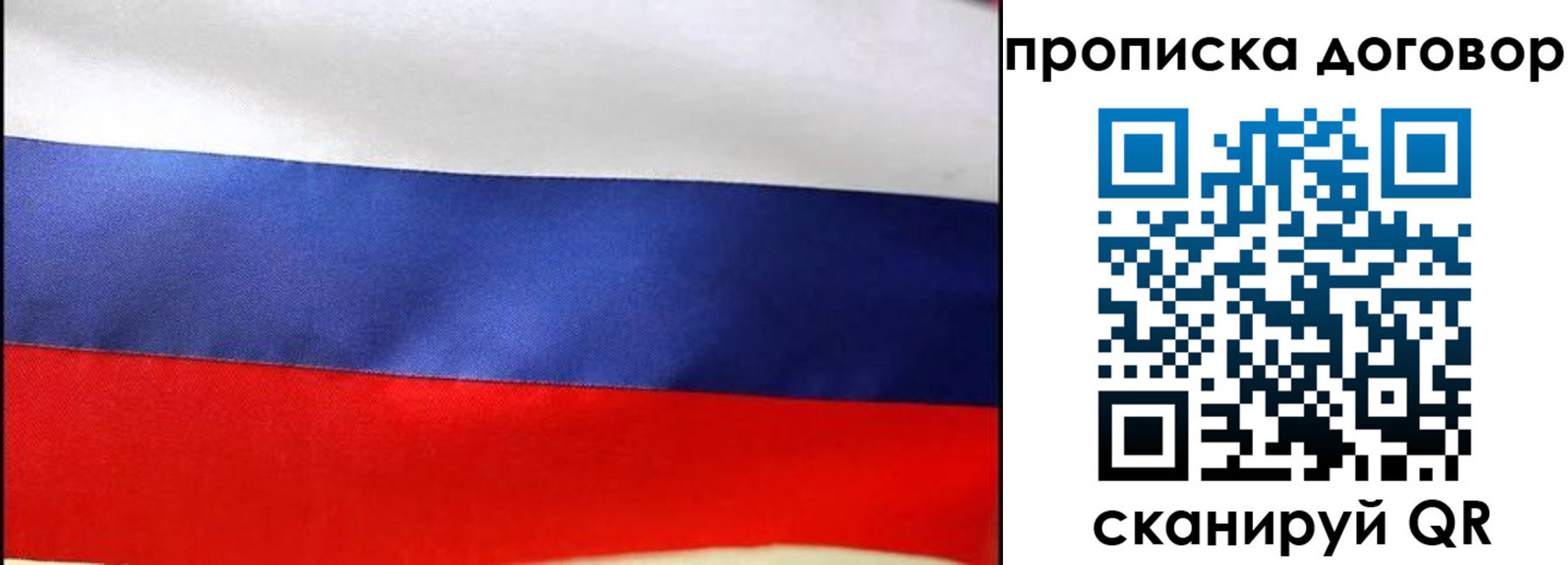 прописка гарантия в Смоленске